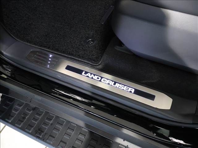 TOYOTA LANDCRUISER 250 2024