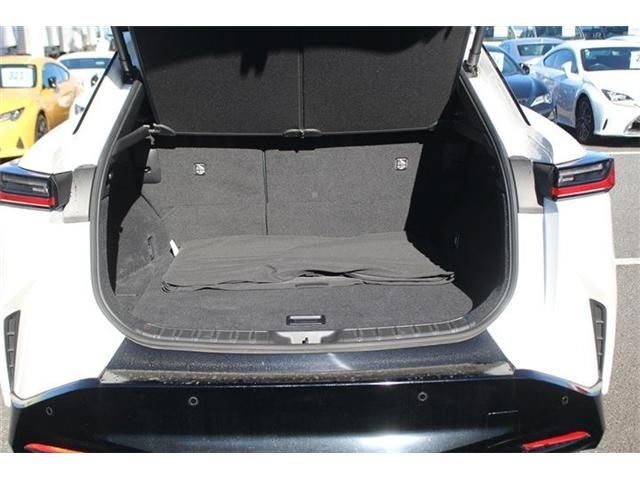 TOYOTA LEXUS RZ450e 2023