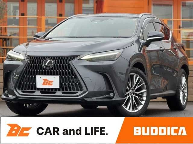 TOYOTA LEXUS NX250 2023 