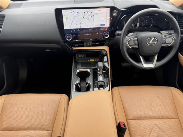 TOYOTA LEXUS NX250 2023