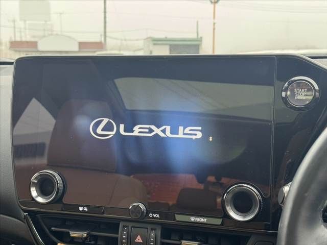 TOYOTA LEXUS NX250 2023