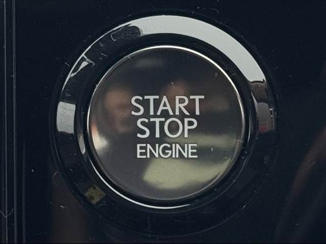 TOYOTA LEXUS NX250 2023