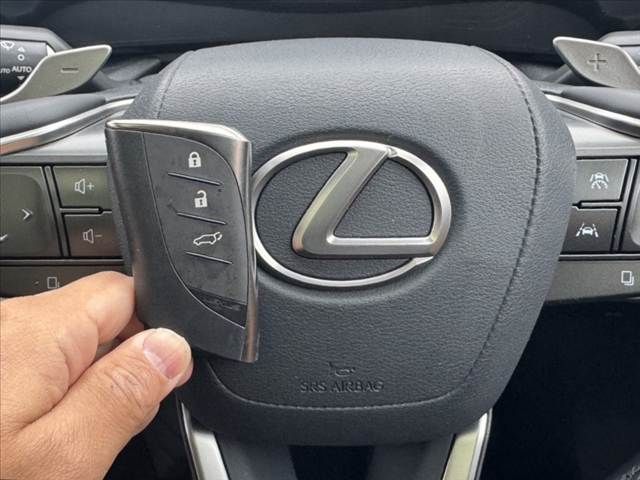 TOYOTA LEXUS NX250 2023