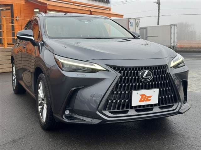TOYOTA LEXUS NX250 2023