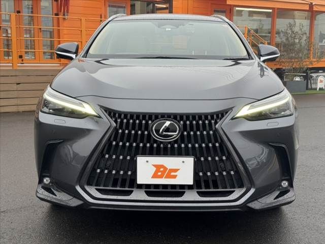 TOYOTA LEXUS NX250 2023