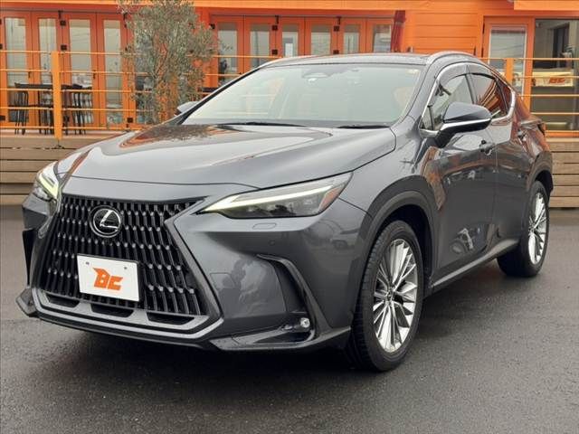TOYOTA LEXUS NX250 2023