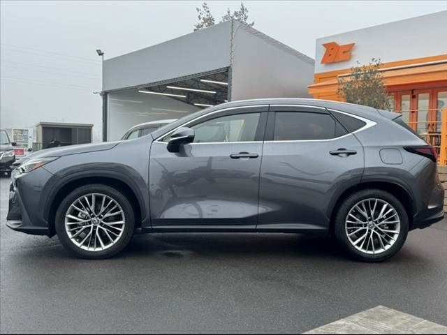 TOYOTA LEXUS NX250 2023
