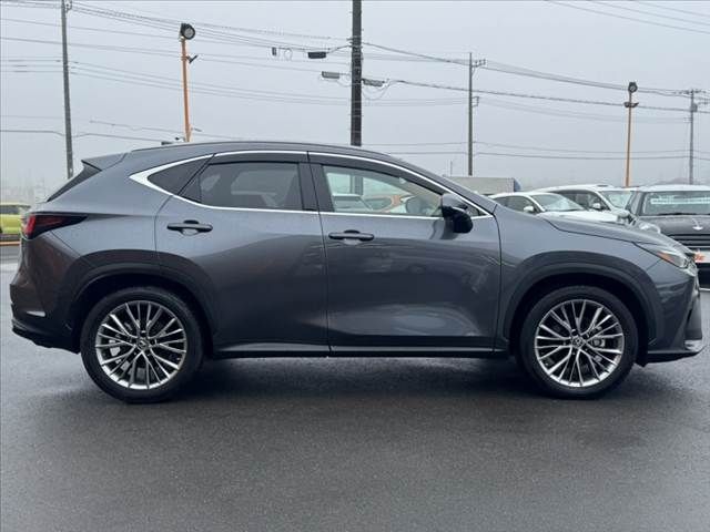 TOYOTA LEXUS NX250 2023