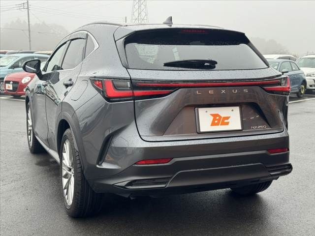 TOYOTA LEXUS NX250 2023