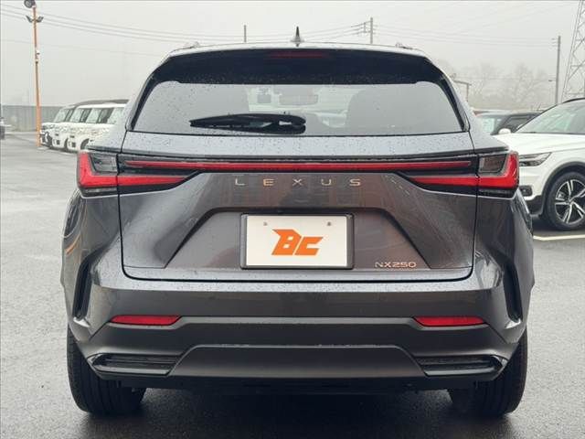 TOYOTA LEXUS NX250 2023