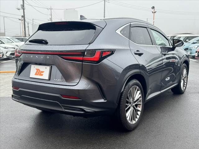 TOYOTA LEXUS NX250 2023