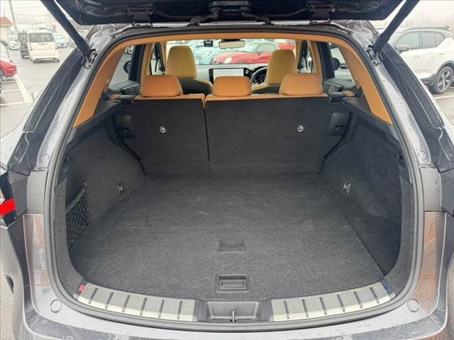 TOYOTA LEXUS NX250 2023