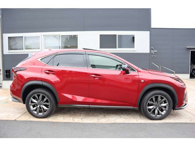 TOYOTA LEXUS NX300 2020