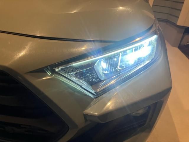 TOYOTA RAV4 4WD 2019