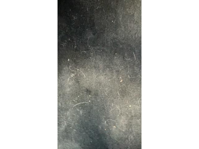 FIAT FIAT PANDA 2017