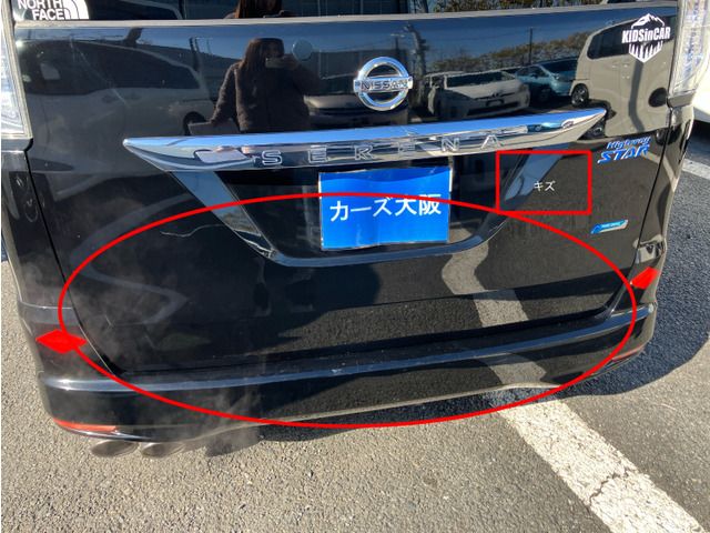 NISSAN SERENA  WG 2010