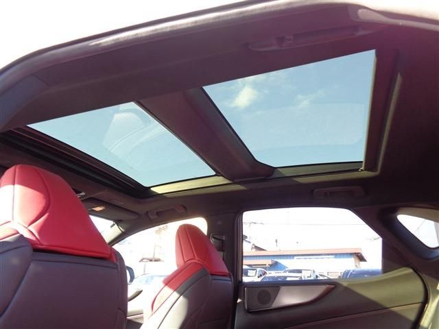 TOYOTA LEXUS NX350h 2023