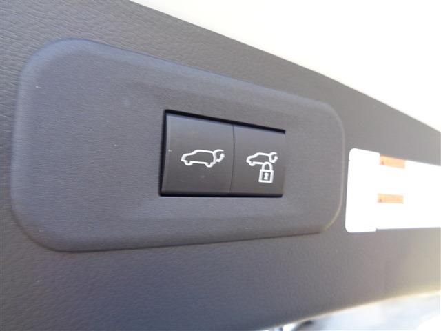 TOYOTA LEXUS NX350h 2023