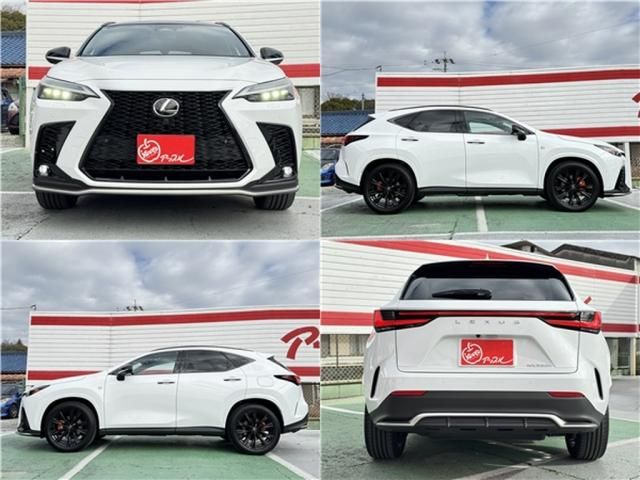 TOYOTA LEXUS NX350h 2025