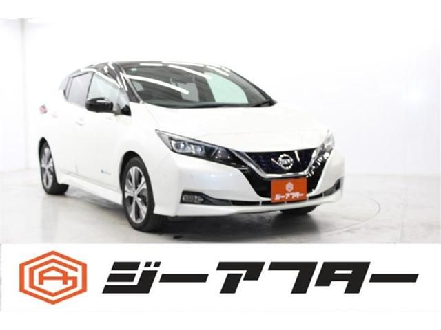 NISSAN LEAF 2018
