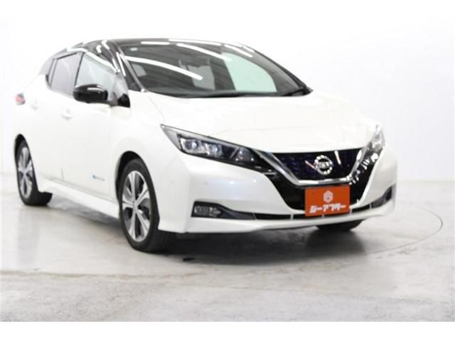 NISSAN LEAF 2018