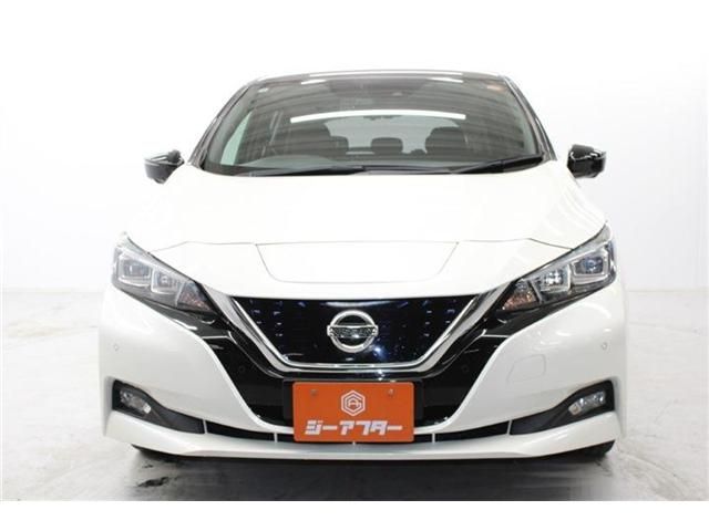 NISSAN LEAF 2018
