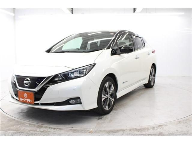 NISSAN LEAF 2018