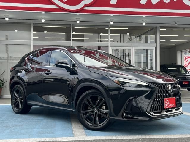 TOYOTA LEXUS NX250 AWD 2023