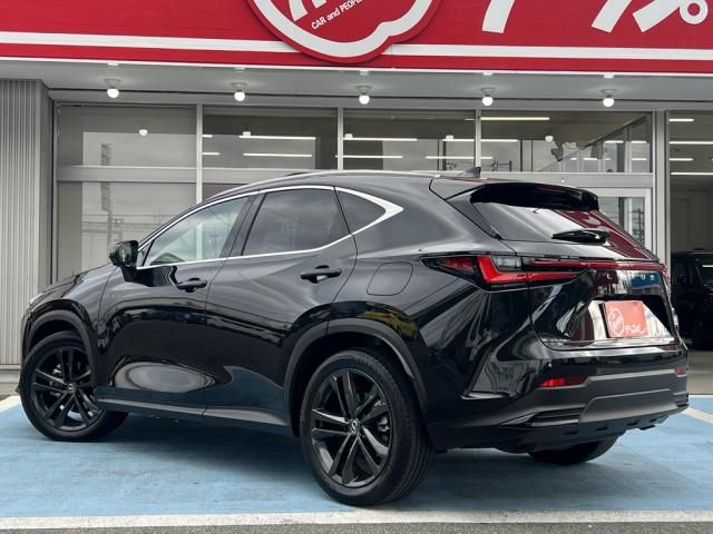 TOYOTA LEXUS NX250 AWD 2023
