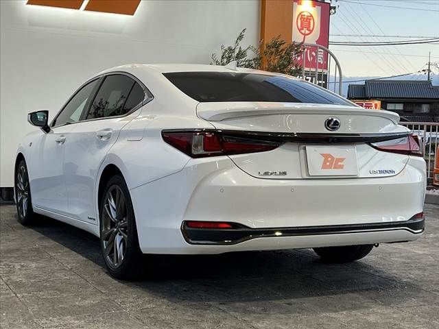 TOYOTA LEXUS ES300h 2020