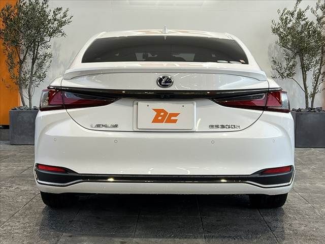 TOYOTA LEXUS ES300h 2020