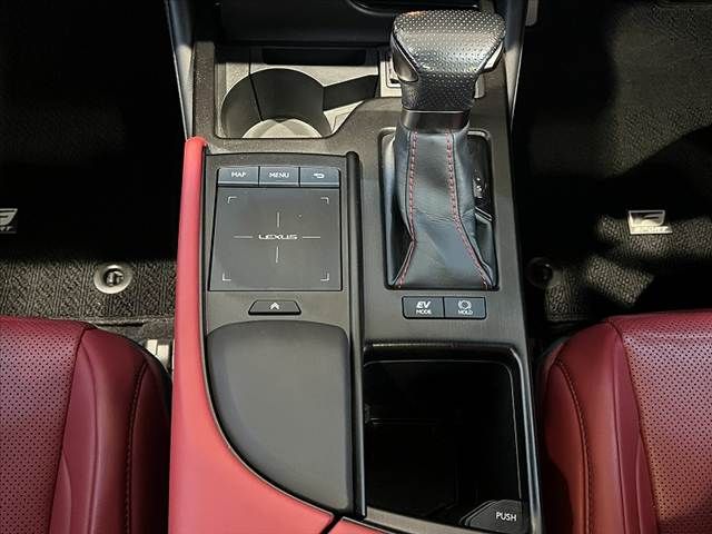 TOYOTA LEXUS ES300h 2020