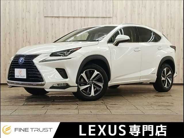 TOYOTA LEXUS NX300h 2019 