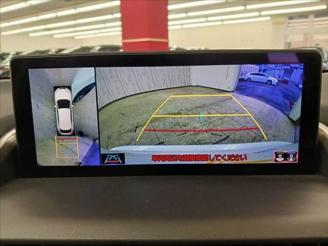 TOYOTA LEXUS NX300h 2019