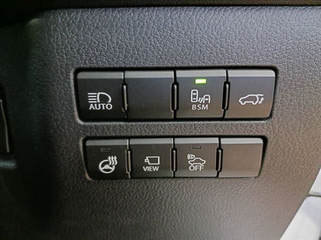 TOYOTA LEXUS NX300h 2019