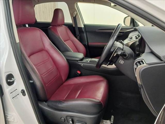 TOYOTA LEXUS NX300h 2019