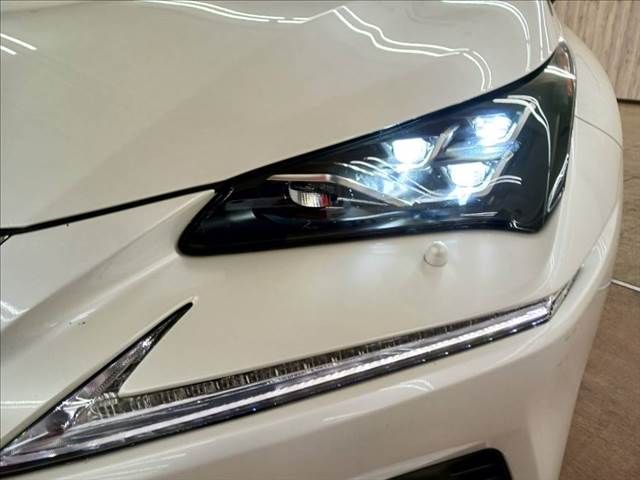 TOYOTA LEXUS NX300h 2019