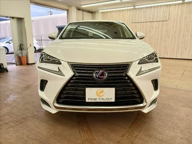 TOYOTA LEXUS NX300h 2019