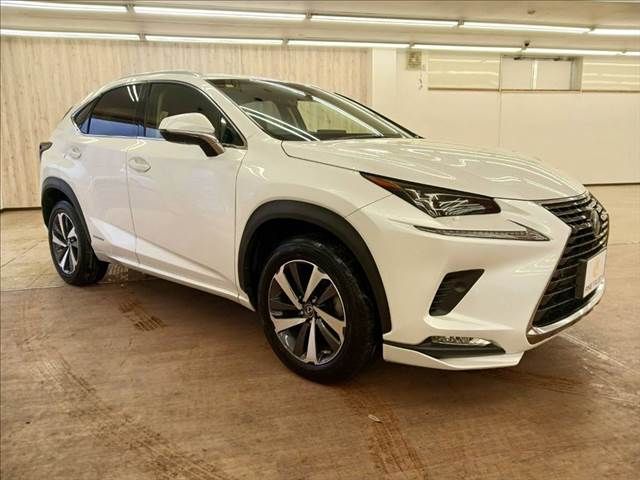 TOYOTA LEXUS NX300h 2019
