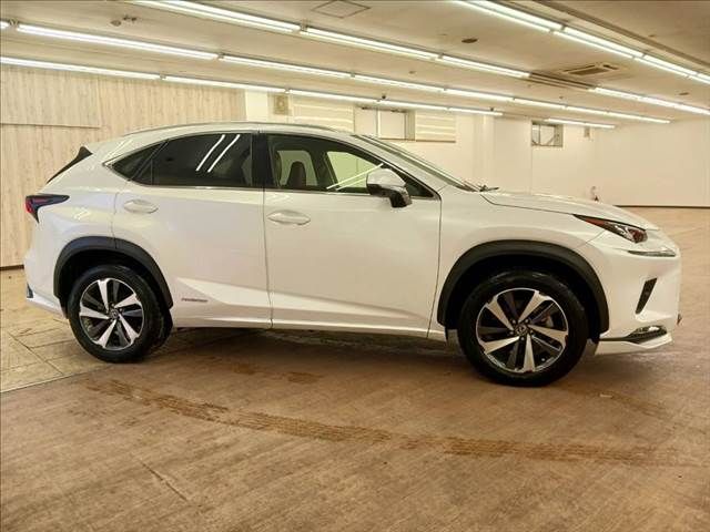 TOYOTA LEXUS NX300h 2019