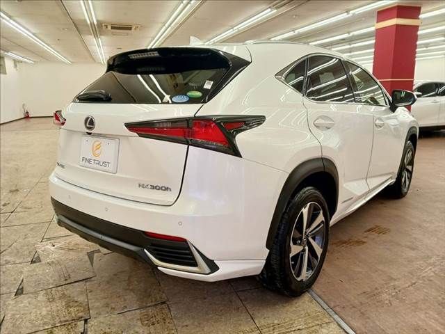 TOYOTA LEXUS NX300h 2019