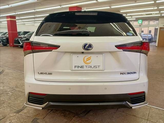 TOYOTA LEXUS NX300h 2019