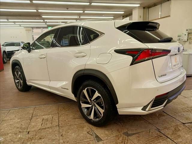 TOYOTA LEXUS NX300h 2019