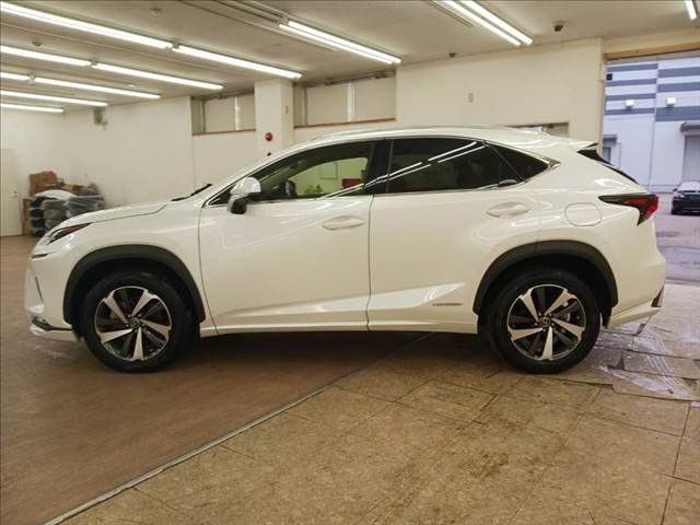 TOYOTA LEXUS NX300h 2019