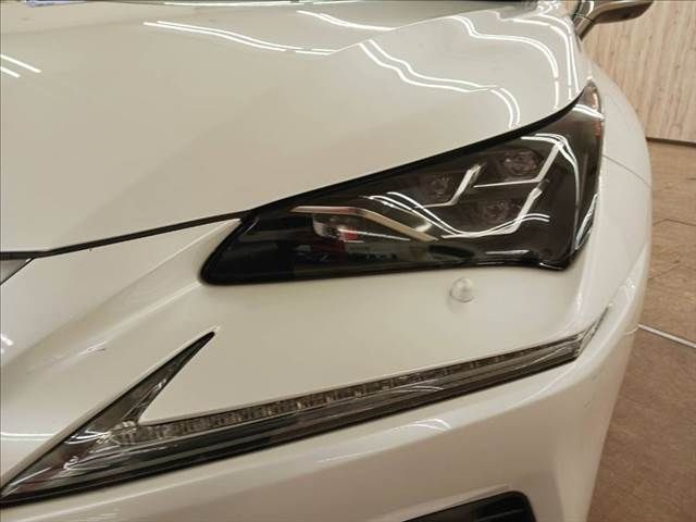 TOYOTA LEXUS NX300h 2019