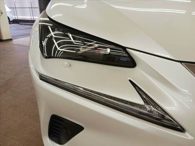 TOYOTA LEXUS NX300h 2019