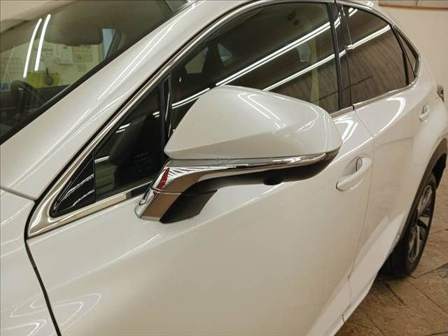 TOYOTA LEXUS NX300h 2019