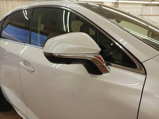 TOYOTA LEXUS NX300h 2019