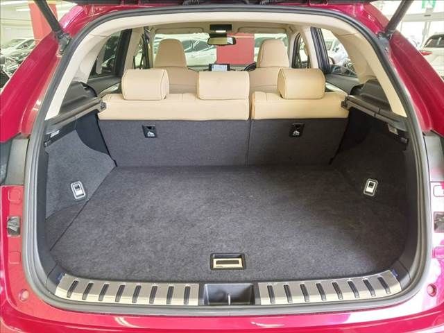 TOYOTA LEXUS NX300h 2015