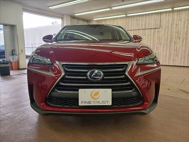 TOYOTA LEXUS NX300h 2015